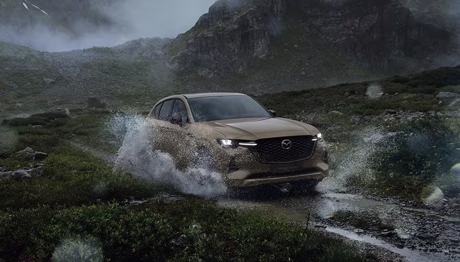 03 expandable card module cx60 diesel 3