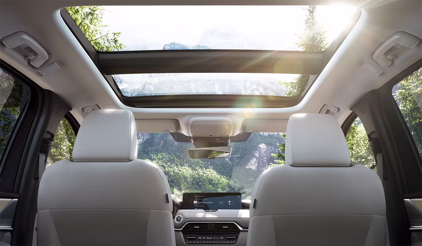 04 gallery static cx60 large 1