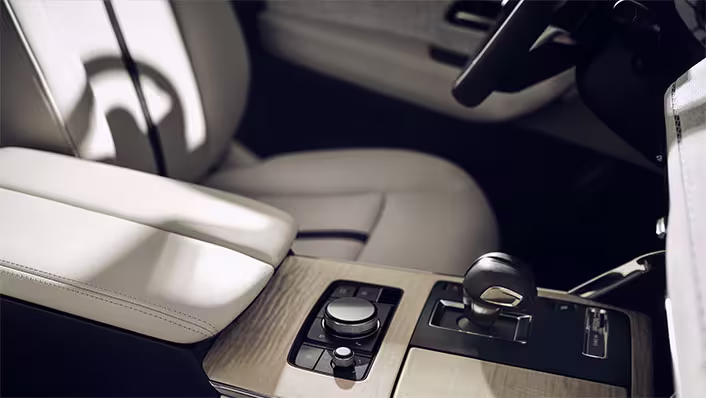 04 gallery static cx60 small 3