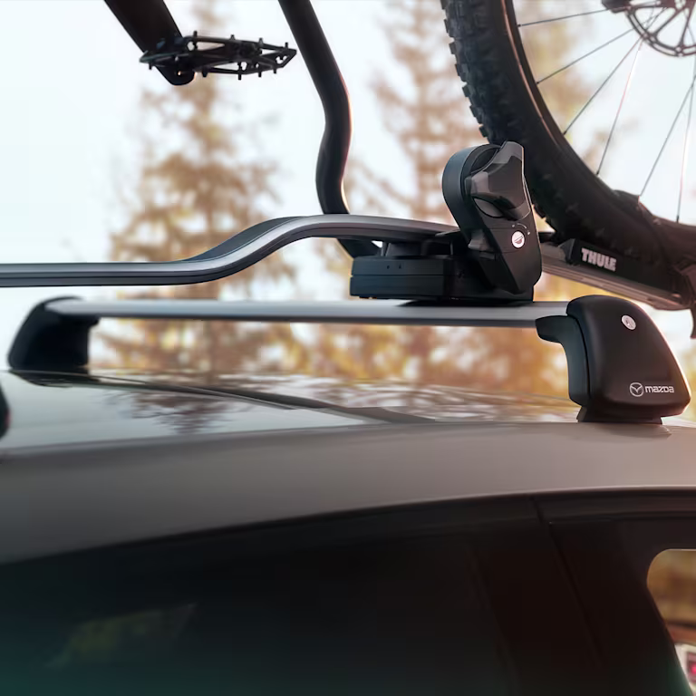 10 1 3 promo cx 60 01