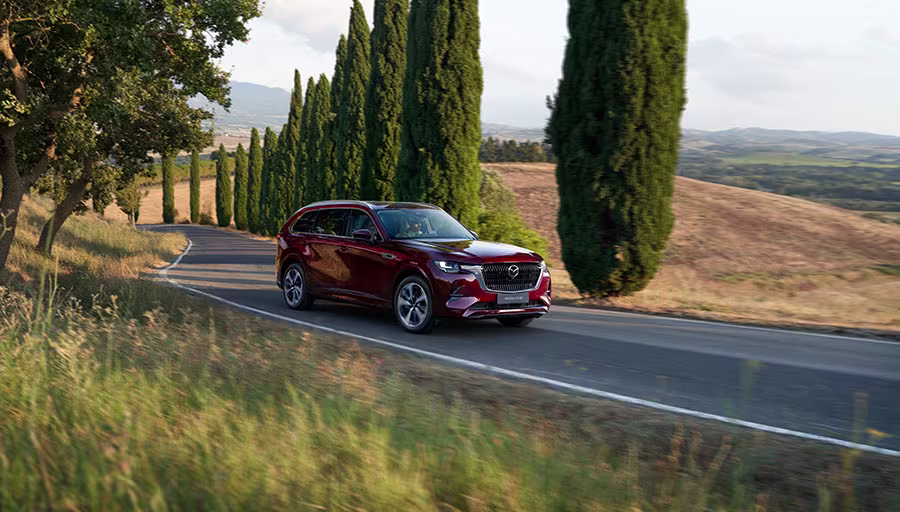 13 expandable card module cx80 phev 3